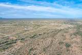 1850 Cactus Forest Road - Photo 12