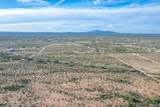 1850 Cactus Forest Road - Photo 13