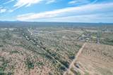 1850 Cactus Forest Road - Photo 14