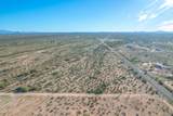 1850 Cactus Forest Road - Photo 15