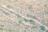1850 Cactus Forest Road - Photo 23