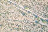 1850 Cactus Forest Road - Photo 24
