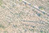 1850 Cactus Forest Road - Photo 25