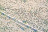1850 Cactus Forest Road - Photo 29