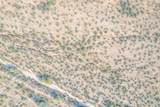 1850 Cactus Forest Road - Photo 30