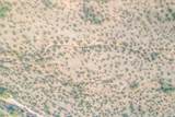 1850 Cactus Forest Road - Photo 31