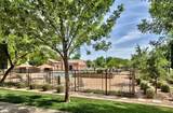 4677 Wildhorse Drive - Photo 10
