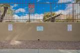 4313 Desert Trumpet Road - Photo 39