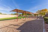 4313 Desert Trumpet Road - Photo 48