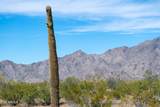 0 Off Ocotillo  (No Address) Road - Photo 9