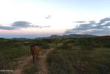 TBD Walker Ranch Road - Photo 21