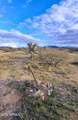 TBD Walker Ranch Road - Photo 31