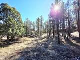 122 Hunter Creek Drive - Photo 3