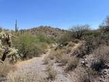 3246 Silver Tip Trail - Photo 1
