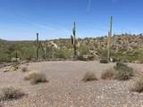 3246 Silver Tip Trail - Photo 11