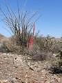 3246 Silver Tip Trail - Photo 12