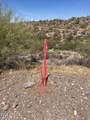 3246 Silver Tip Trail - Photo 13
