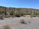 3246 Silver Tip Trail - Photo 15