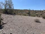 3246 Silver Tip Trail - Photo 2