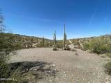 3246 Silver Tip Trail - Photo 3
