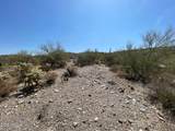 3246 Silver Tip Trail - Photo 4