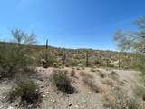 3246 Silver Tip Trail - Photo 5