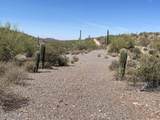 3246 Silver Tip Trail - Photo 7
