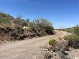 3246 Silver Tip Trail - Photo 8