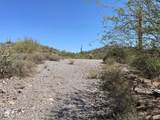 3246 Silver Tip Trail - Photo 9