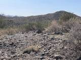 3246 Silver Tip Trail - Photo 2