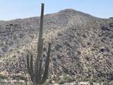 3246 Silver Tip Trail - Photo 3