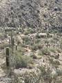 3246 Silver Tip Trail - Photo 4