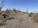 3246 Silver Tip Trail - Photo 5