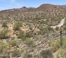 3246 Silver Tip Trail - Photo 6