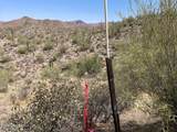 3246 Silver Tip Trail - Photo 7