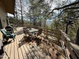22761 Eagle Mine Road - Photo 10