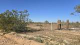 46XX Ralston Road - Photo 28