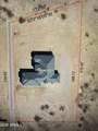 26733 235TH Lane - Photo 31