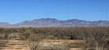 7668 Bear Track Trail - Photo 1
