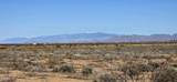 7668 Bear Track Trail - Photo 2