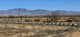 7668 Bear Track Trail - Photo 4