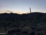 42382 Chiricahua Pass Pass - Photo 13