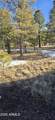 20 County Road N 1332 - Photo 13