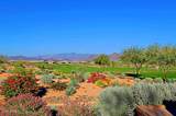 17674 Fort Verde Road - Photo 47