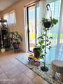 1047 Fairfield Street - Photo 13