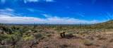 9675 Bowman Road - Photo 15