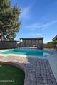 8621 Via Montoya Drive - Photo 50