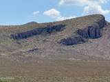 000 Jack Rabbit Trail - Photo 10