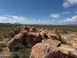 000 Jack Rabbit Trail - Photo 14