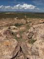 000 Jack Rabbit Trail - Photo 2